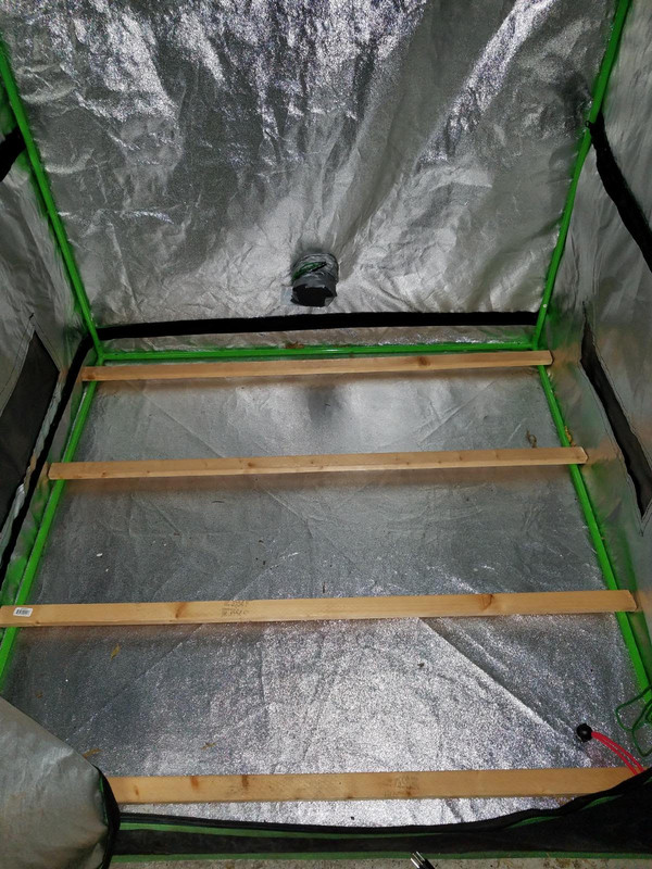 Growing in unheated garage Rollitup