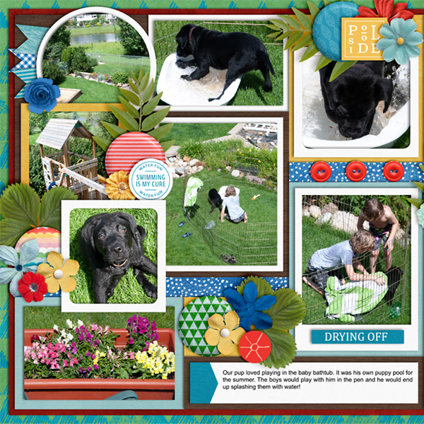 puppy-Pool2013-web-left.jpg