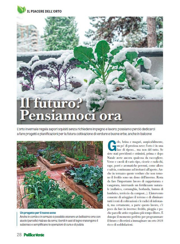 Pol Ver Dic 2023-Gen 2024 (5)