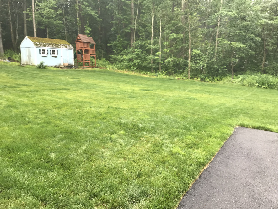 EB91FB32-5C4F-4F86-B6C5-6291E41C4448