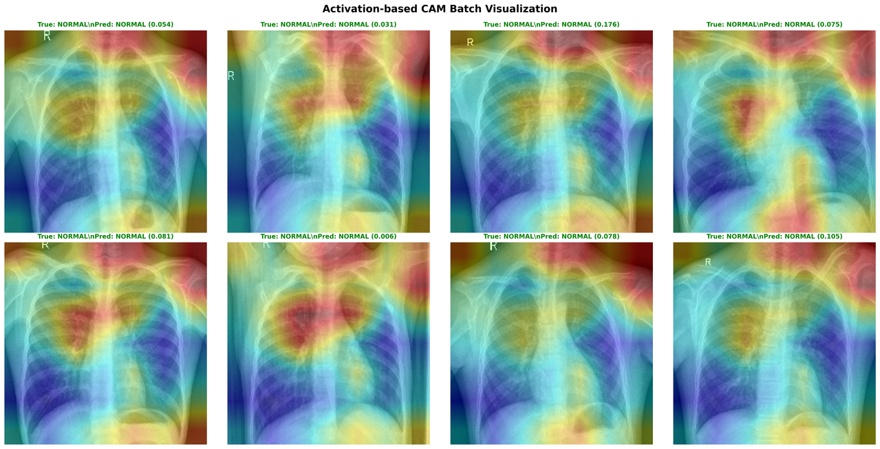 Pediatric Radiograph Diagnosis Overview