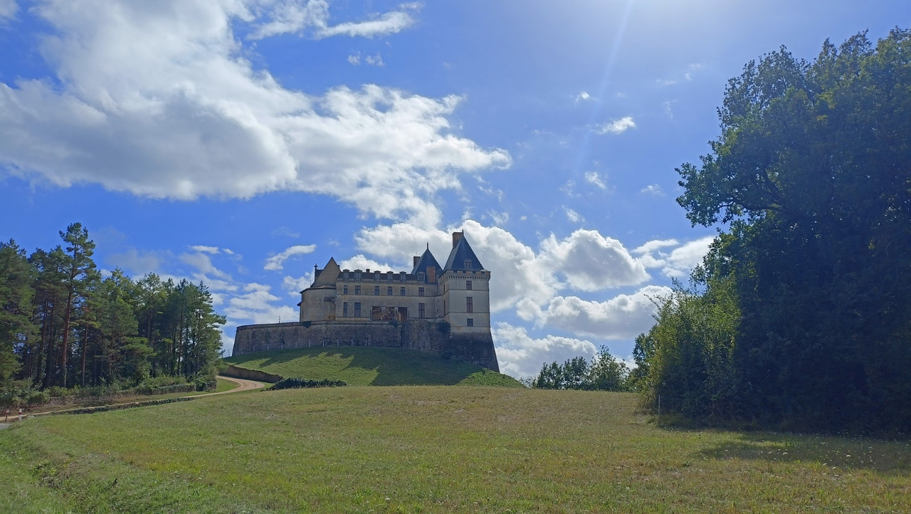 IMG20250830163036 (Large)