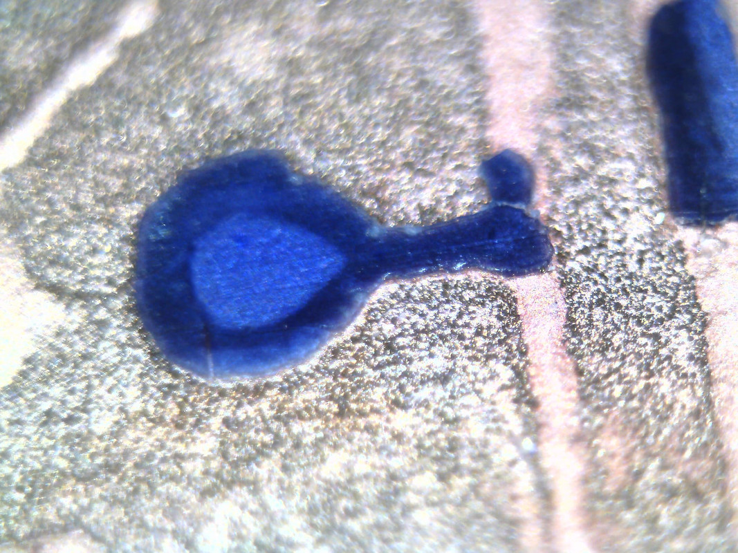 Изображение 001