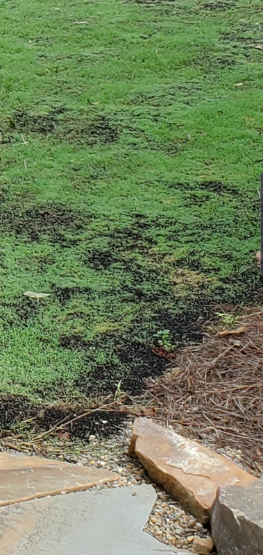 Screenshot_20190828-211445_Gallery