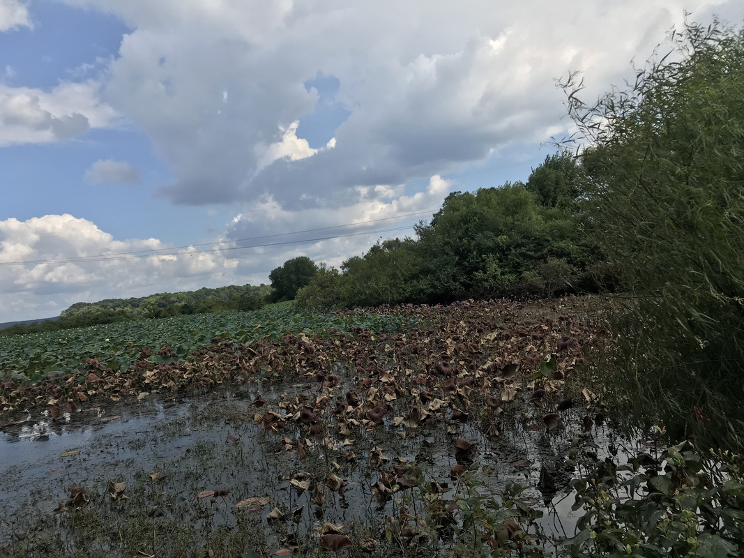 05D3C1A1-4E91-4FC6-911B-65B72CC5CAAD