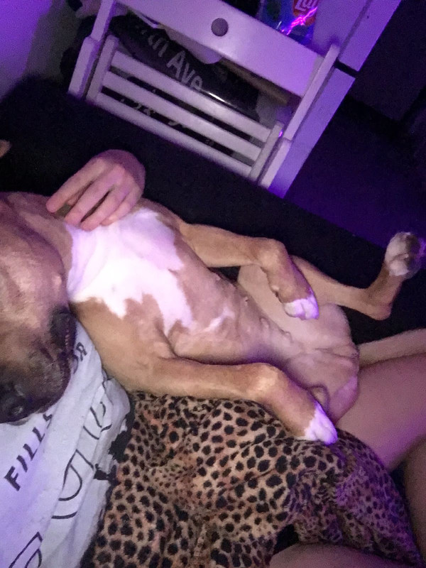 0984E826-CAC3-4860-8078-33199C3271A6