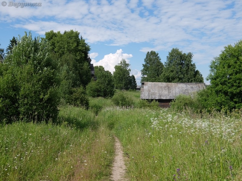 DSCF9452