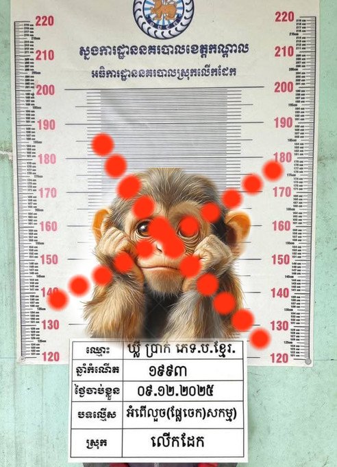 monkey Image10