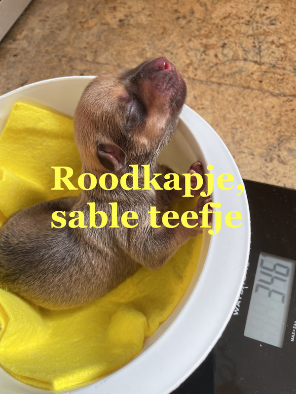 1A28D655-CC9A-4B49-A924-A7CEE60E89FE_1_201_a