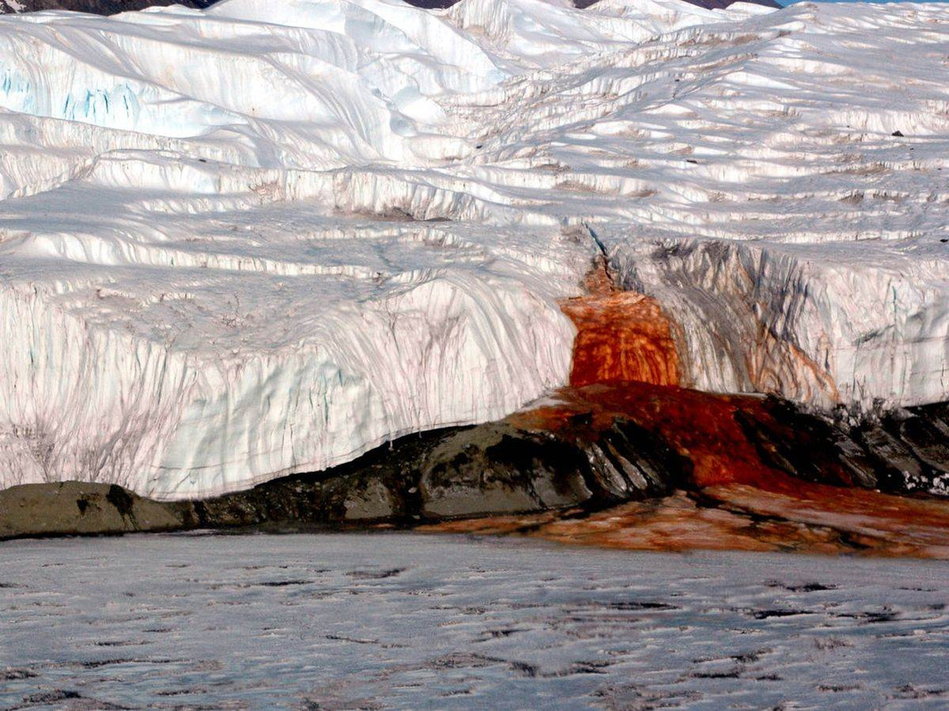 foto colore rosso dell acqua che fuoriesce da un ghiacciaio in Antartide