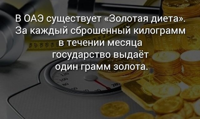 380FE306-3DF2-48E4-9354-4B6AE144EC30