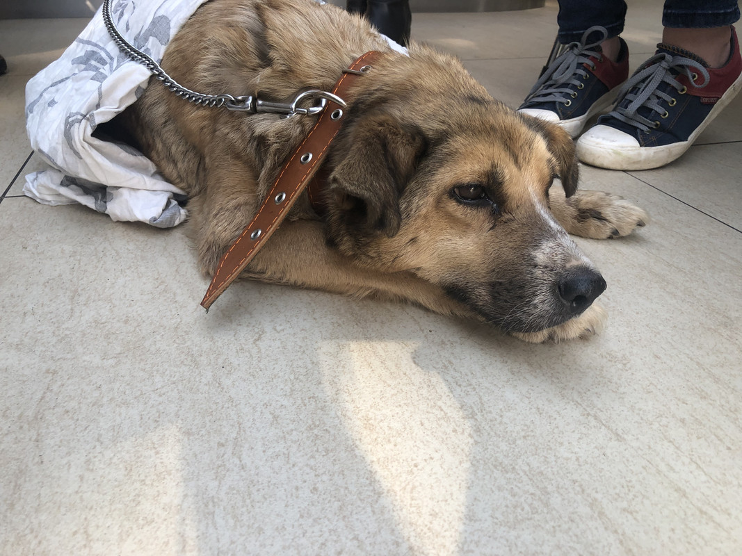 798482D7-D443-422C-96FB-F54C510B84F8