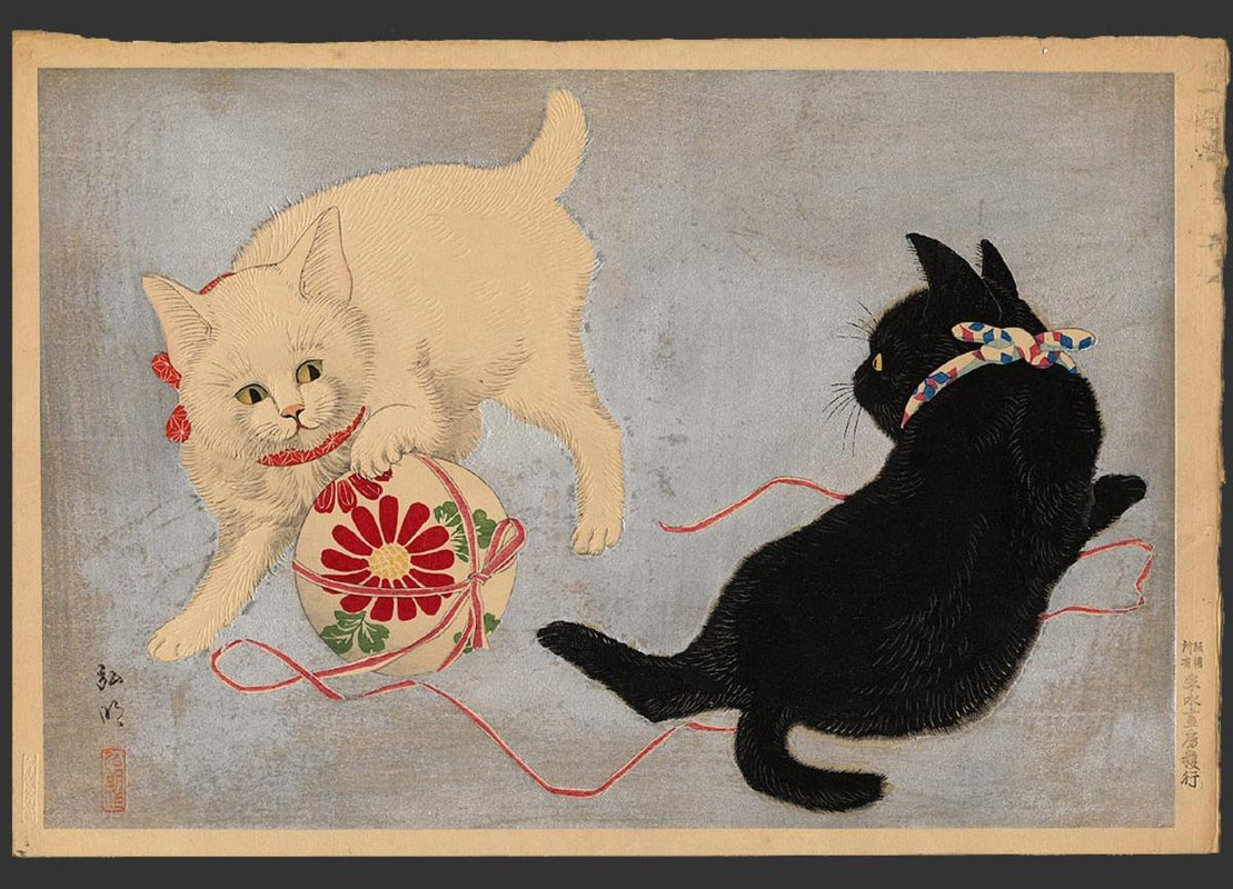 2-Shotei-Takahashi-No-Series-Playing-cats-00038232-050806-F12