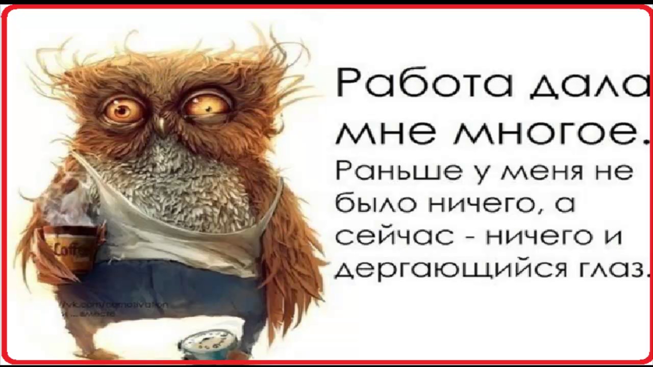 От работы кони дохнут картинки прикольные
