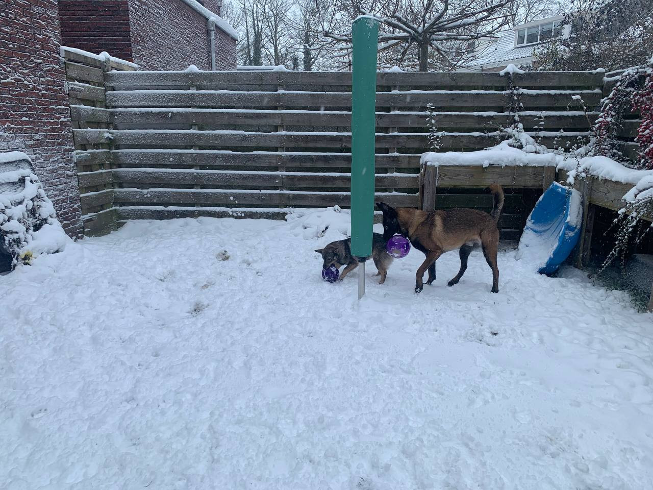 photo 2026 01 07 12 45 15