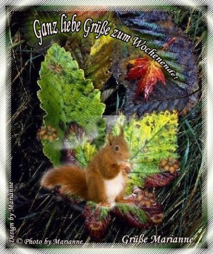 An den Beitrag angehängtes Bild: https://i.postimg.cc/RhMCpWXn/60-Ganz-liebe-Gr-e-zun-Wochenende.jpg