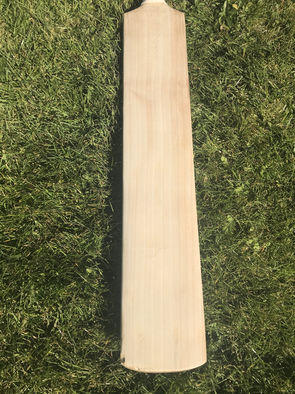 B6BFC376-065F-43CA-8219-6F678B1D42A8