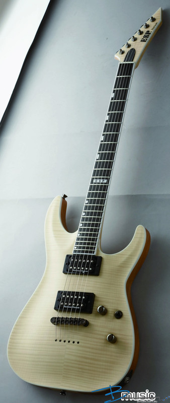 horizon_nt-ii_fm_ntl_angled