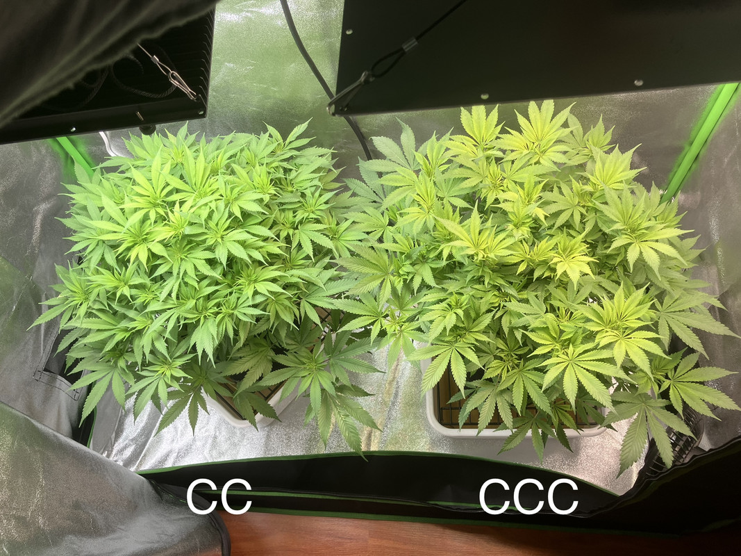 EBD5183D-7706-48C1-BFC5-F3C0A6980D8C