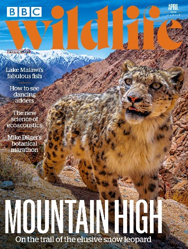 BBC Wildlife - April / 2023