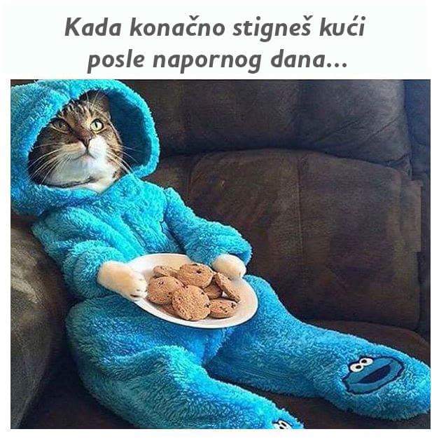 FB_IMG_1459453687668
