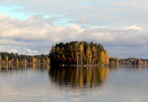Pohdonsaari