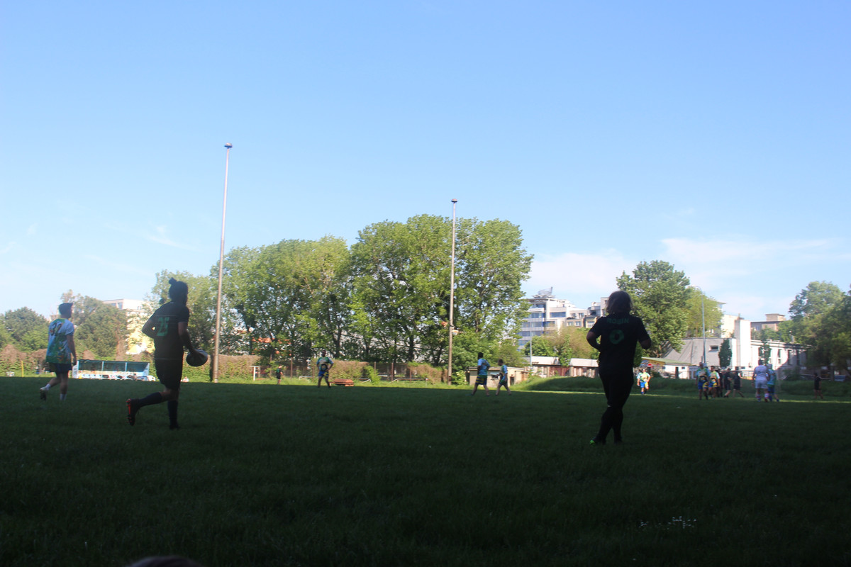 IMG-0519