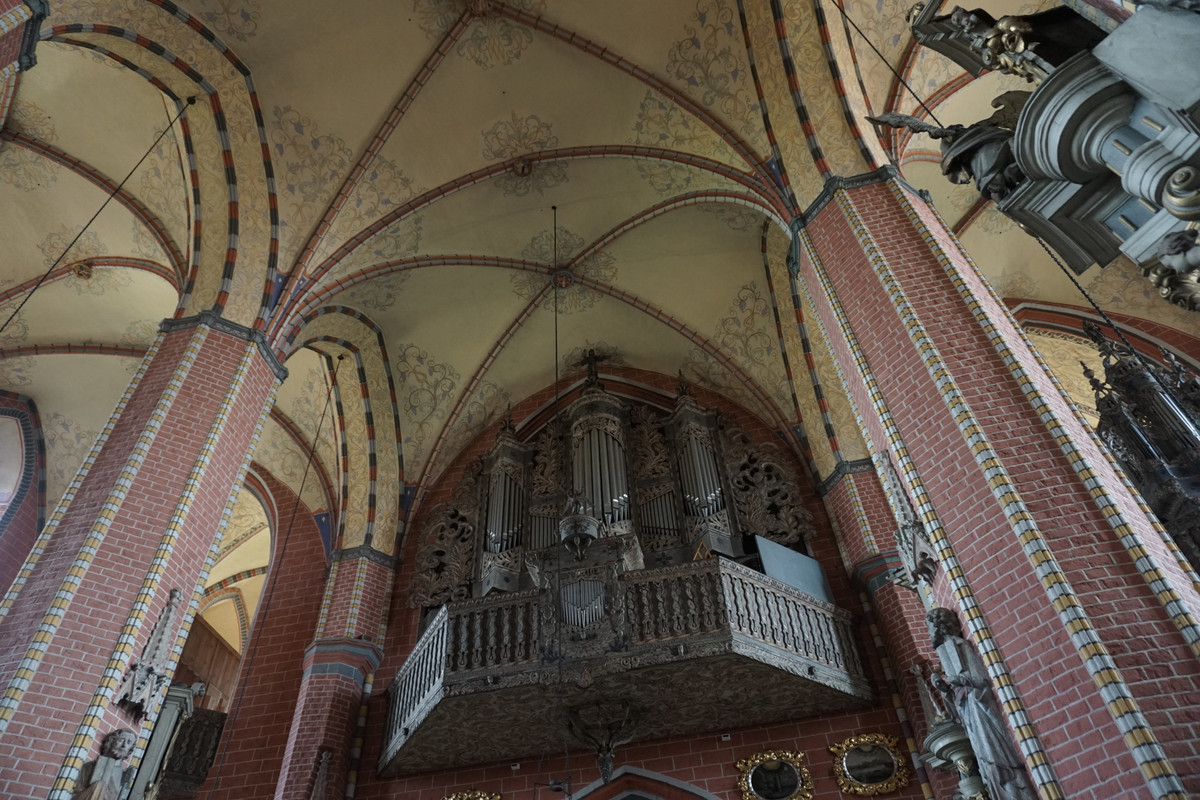 20.35 - DSC08124 (zbychowiec)