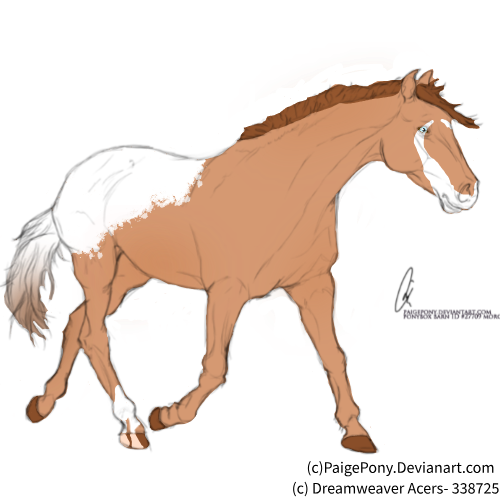 Drawing-6-sketchpad-1.png