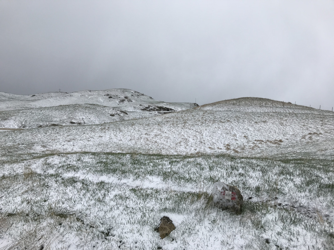 CD4E4770-A20D-4FCE-9557-CE5A47041319