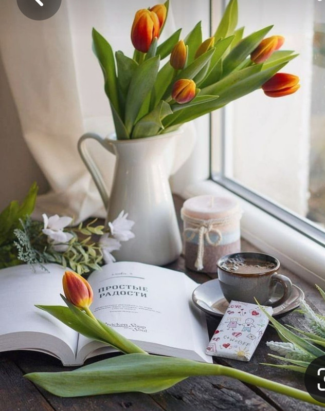 Screenshot_20230710_230225_Pinterest