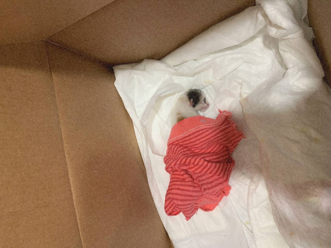 53D95B89-A85E-44B6-A54E-BFA3BB229F23