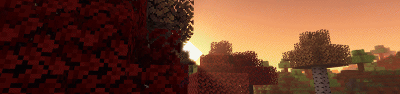 banner2