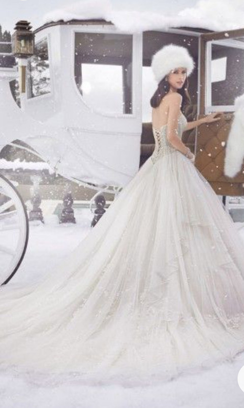 Screenshot_20230129_000907_Chrome