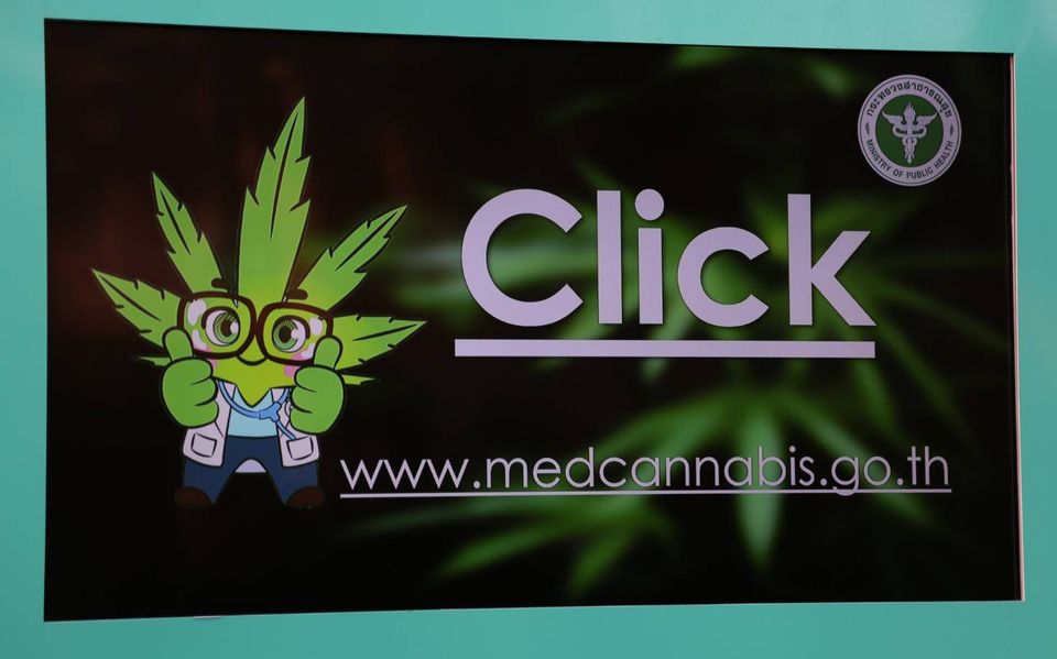 เปิดเว็บไซต์ medcannabis.go.th ปลดล็อค...กัญชาทางการแพทย์เสรี