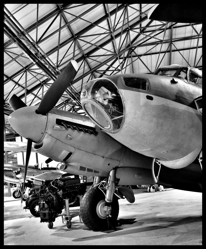 49990686-8098-4CA6-8494-EF9E534F40D3