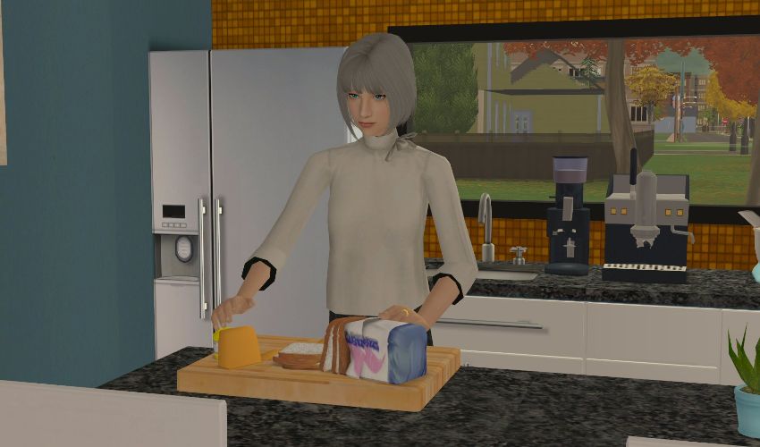 Sims2-EP9-2021-01-16-11-17-46-91