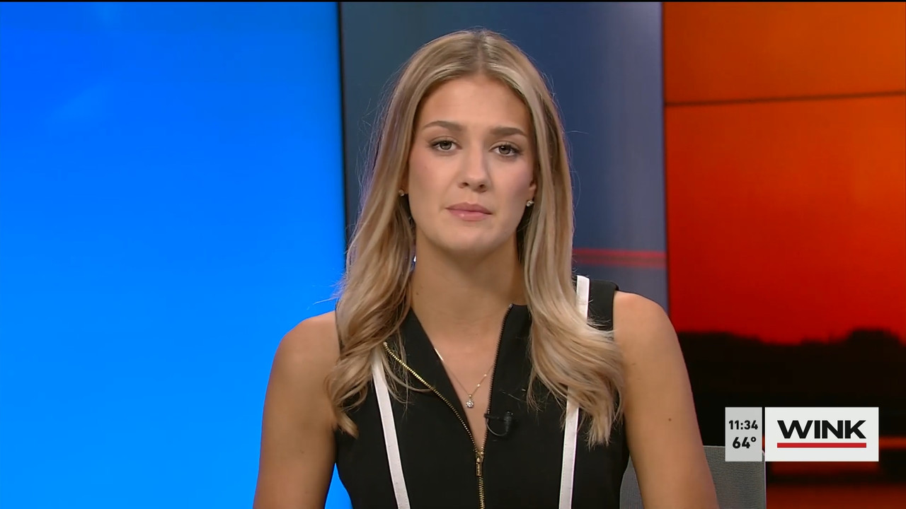 03.19 - 15.30.00 - WINK NEWS at 11 30am  ᴺᵉʷ. Midday news..ts_snapshot_10.12.683