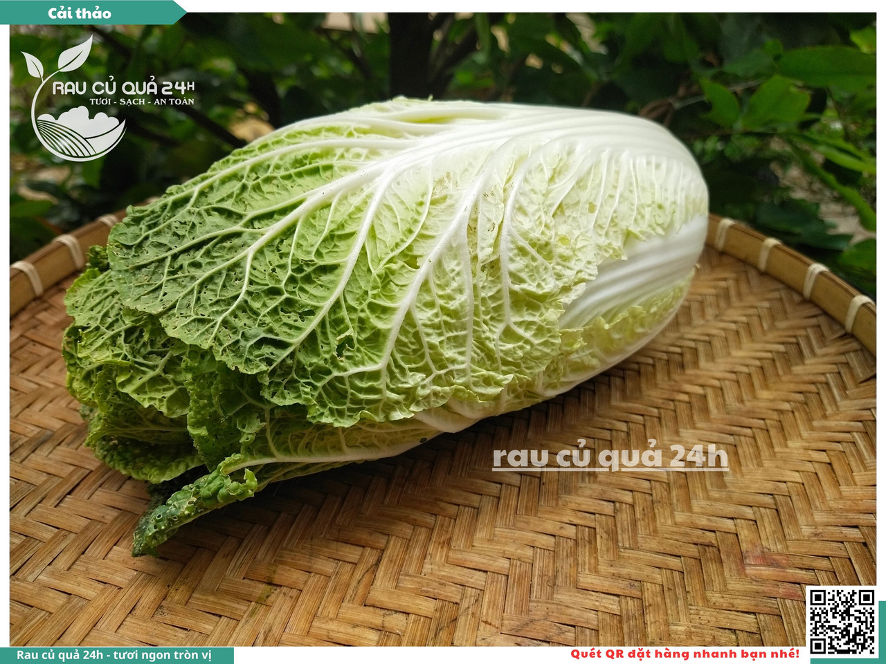 Cải Thảo 10