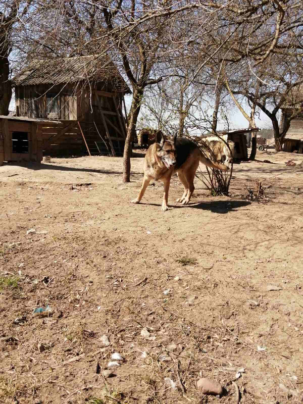 76C57D8A-322A-45B7-B8FB-C14747EB96C6