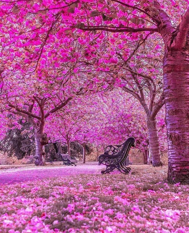 Screenshot_20240419_232635_Threads