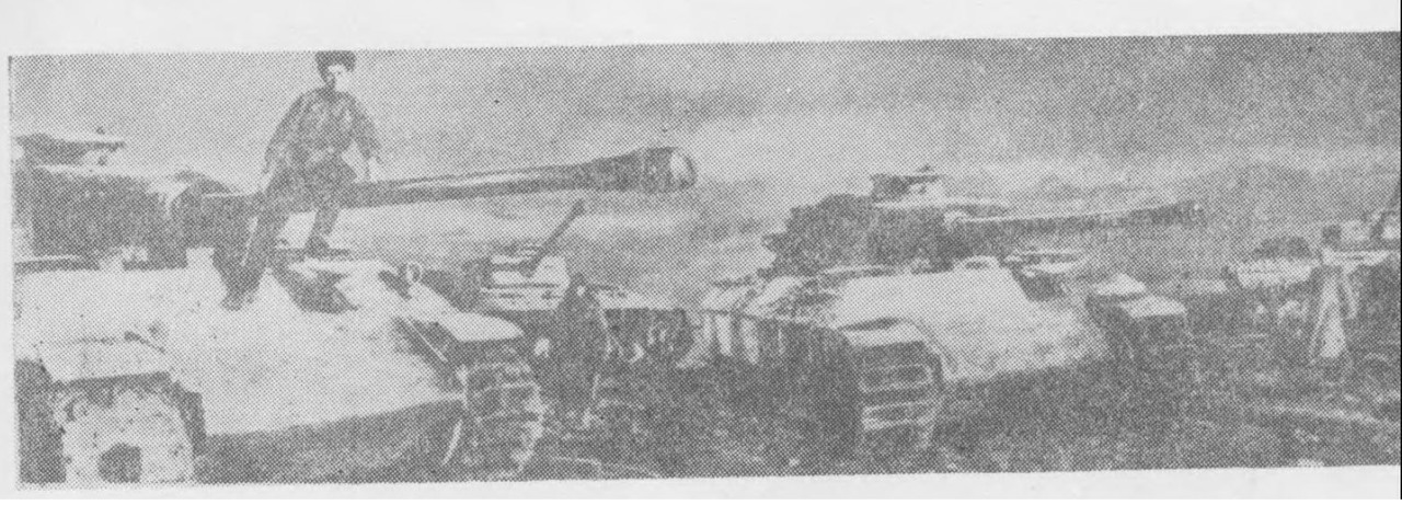 НЕМ_ПАНТЕРА_КМГ_0344