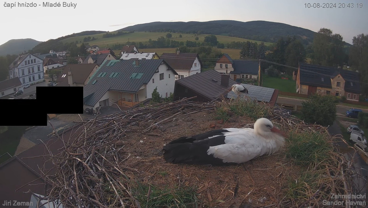Tiešraides kamera — Mladé Buky — stārķa ligzda 12-20-23 screenshot