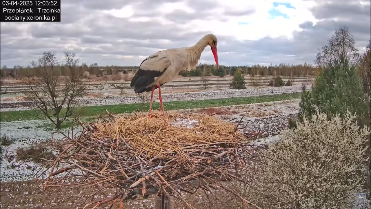 06042025minutazbocianem_12