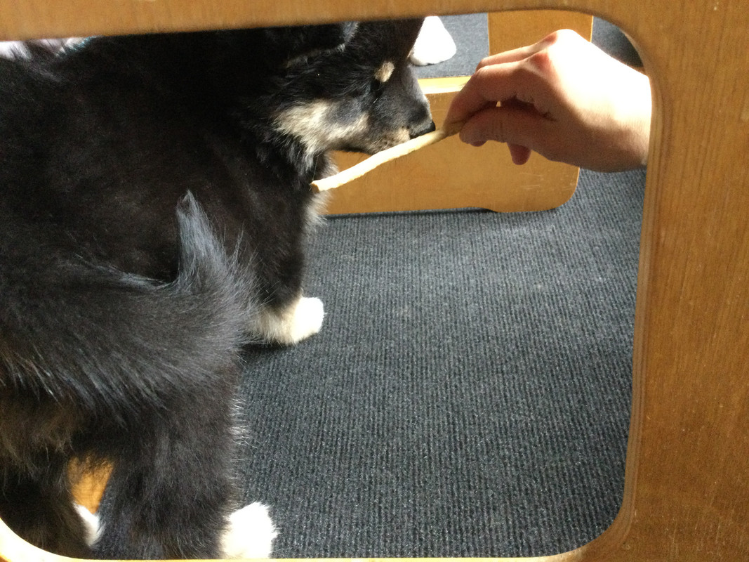 6E06714A-5DEB-4AAE-AAFE-1D4D68AE86D1