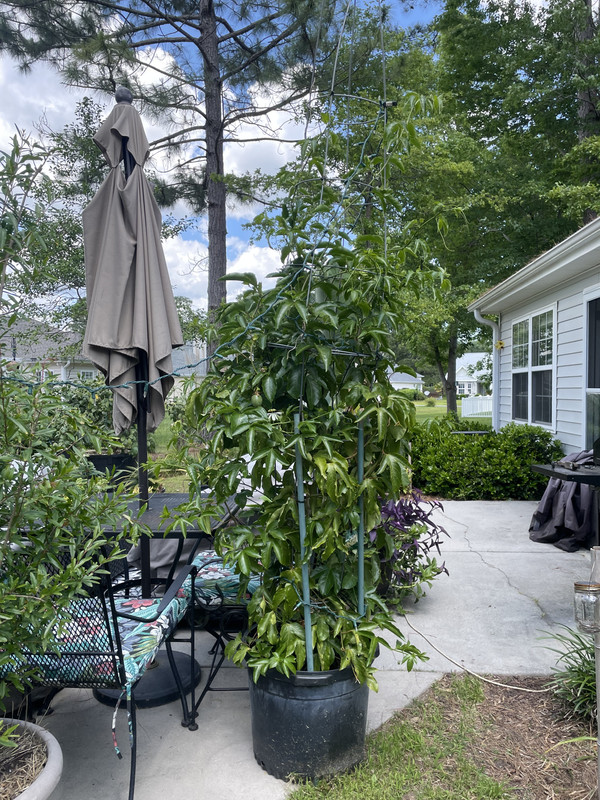 671CD13D-BDD7-4F65-B63E-2E296609A462