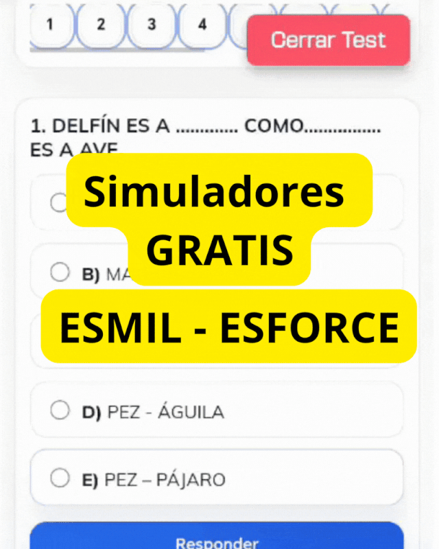 SIMULADORES-GRATIS-1