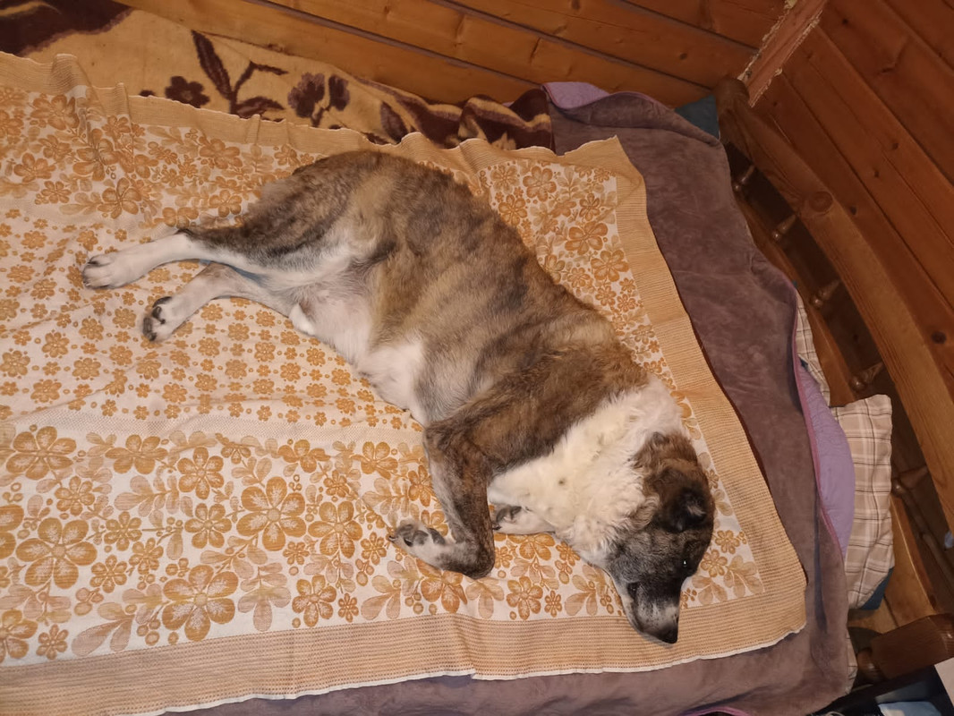 50AAEBF8-D532-466D-9AEC-04EDDB4A9698