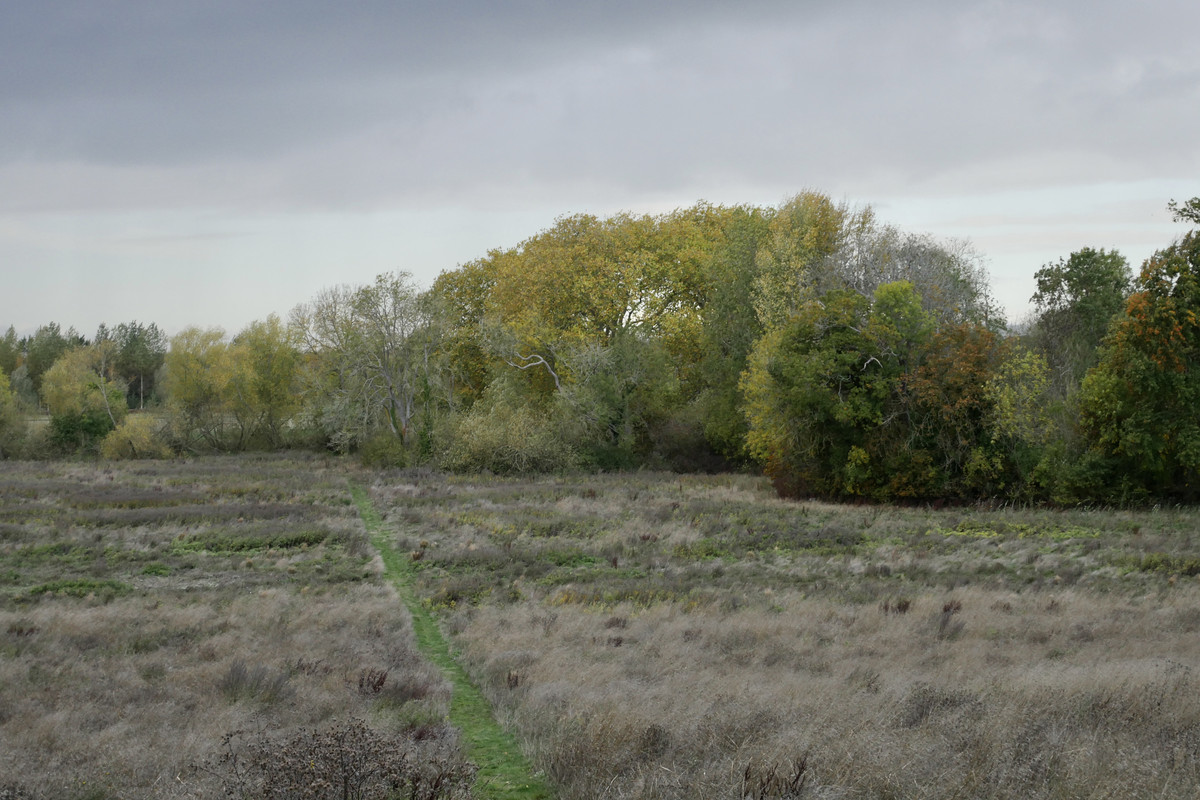 E276C496-C896-4E43-958B-6B529790233D