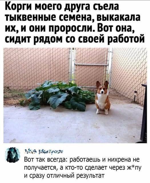 [Изображение: photo-2025-11-29-08-51-07.jpg]